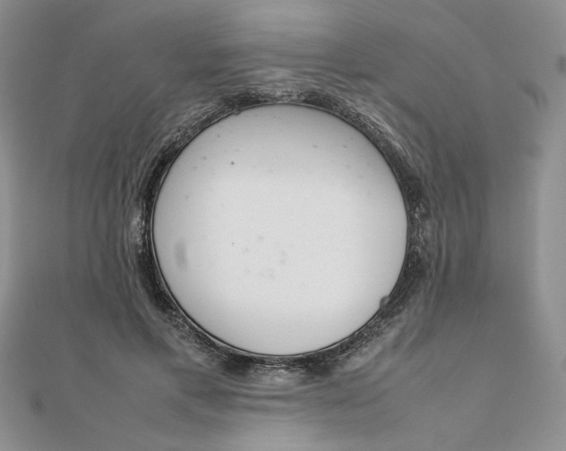 X0000111660597200907311139