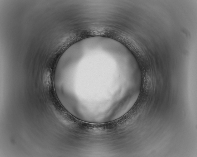 X0000111660598200907311139