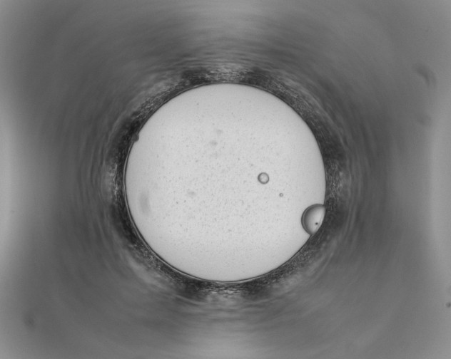 X0000111660599200907311139