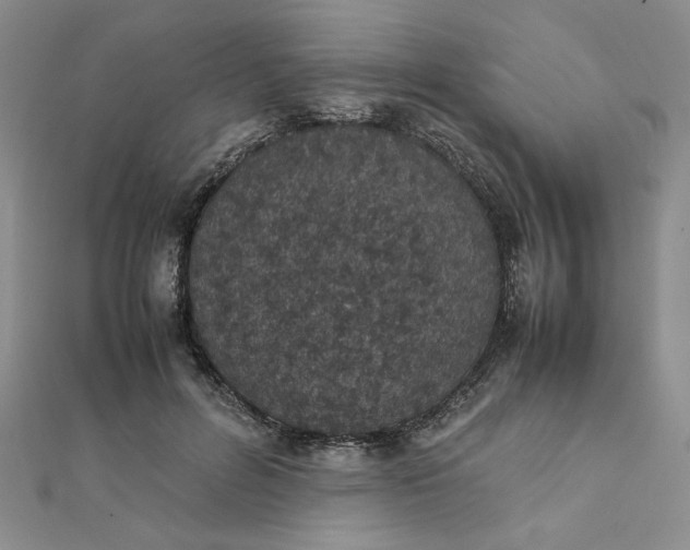 X0000111660600200907311139