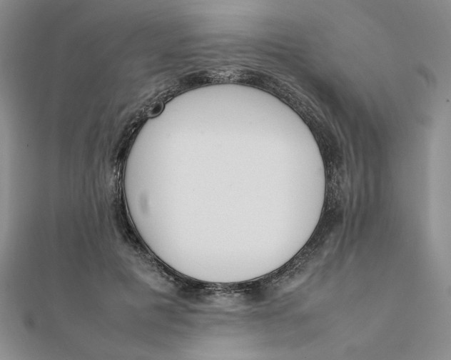 X0000111660601200907311139