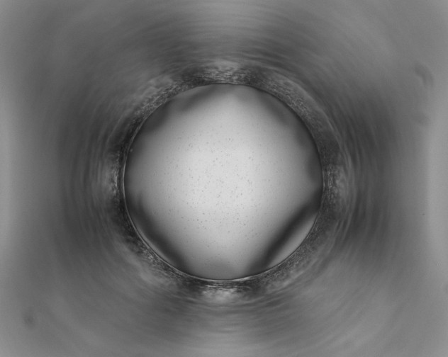 X0000111660602200907311139