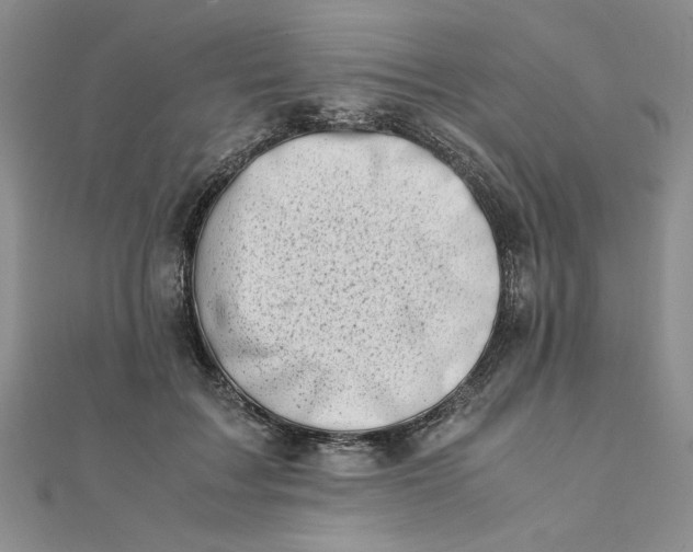 X0000111660603200907311139