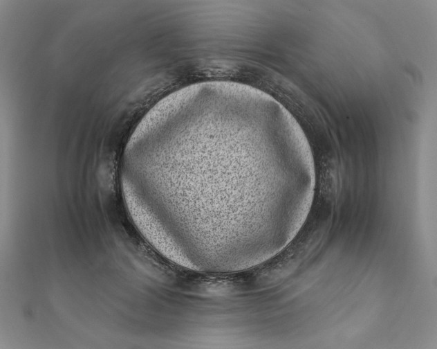 X0000111660604200907311139