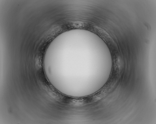 X0000111660606200907311139