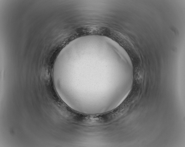 X0000111660607200907311139