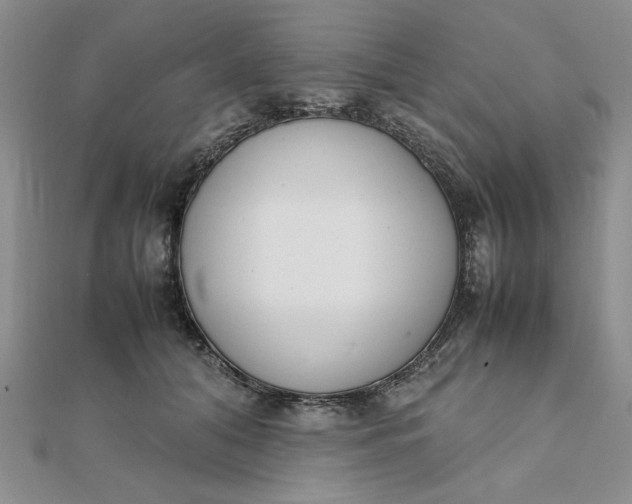 X0000111660608200907311139