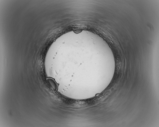 X0000111660609200907311139