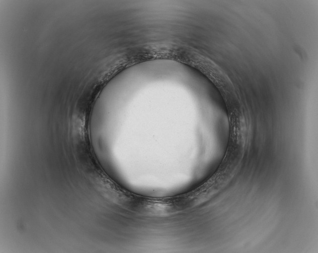 X0000111660610200907311139