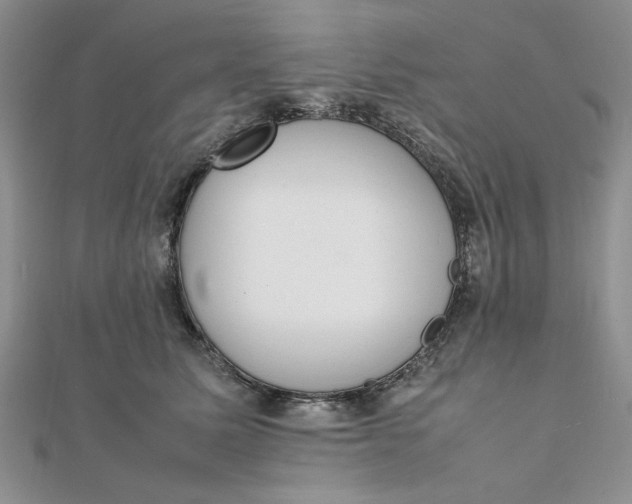 X0000111660611200907311139