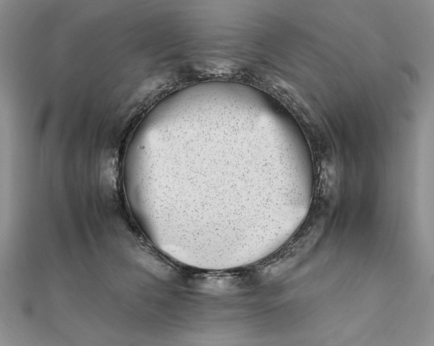 X0000111660612200907311139