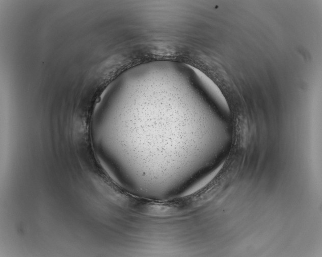 X0000111660614200907311139