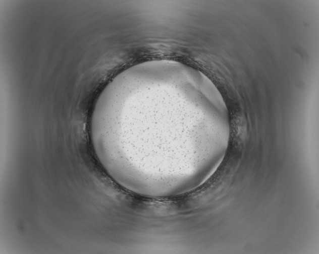 X0000111660615200907311139