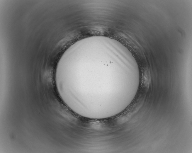 X0000111660616200907311139