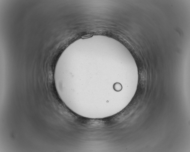 X0000111660617200907311139