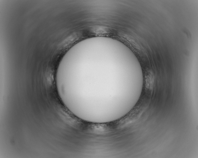 X0000111660618200907311139