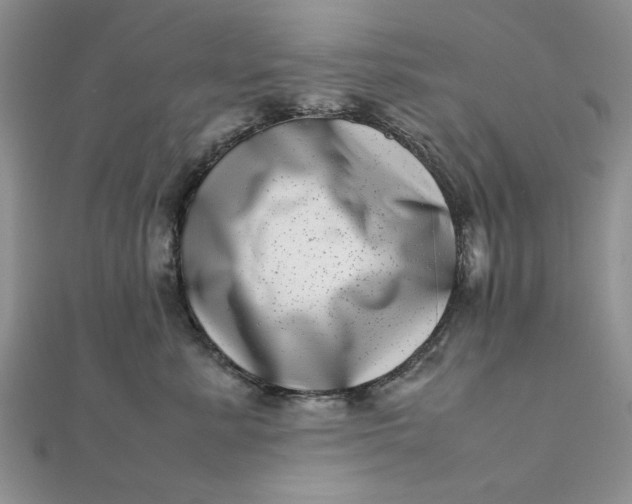 X0000111660619200907311139