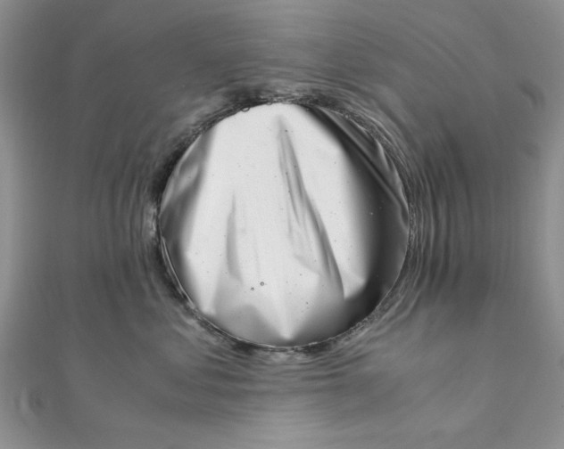 X0000111660621200907311139