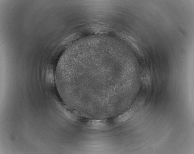 X0000111660622200907311139