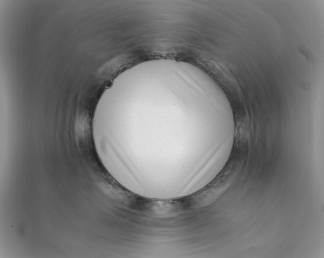 X0000111660623200907311139