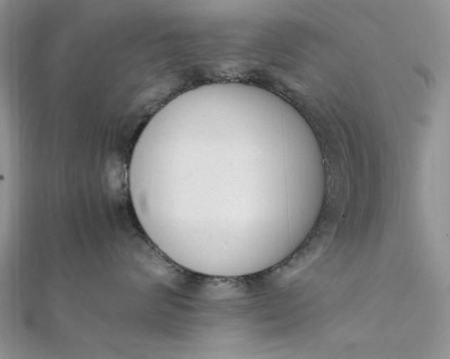 X0000111660624200907311139