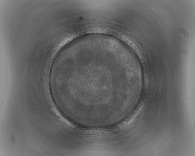 X0000111660625200907311138