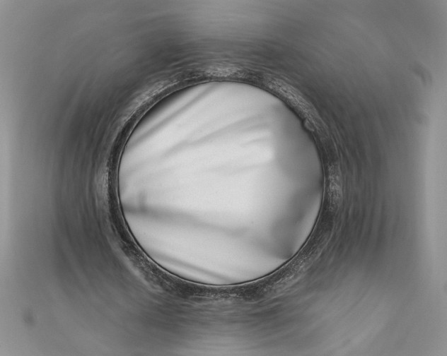 X0000111660626200907311138