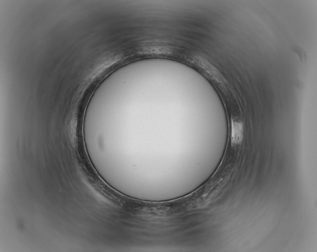 X0000111660627200907311138