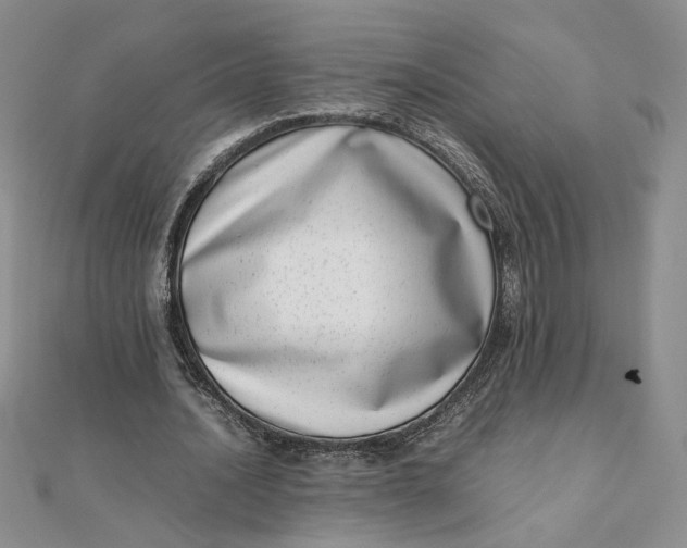 X0000111660628200907311138