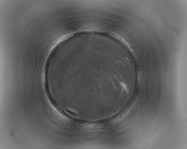 X0000111660629200907311138