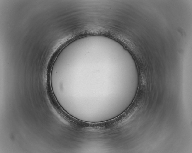 X0000111660630200907311138