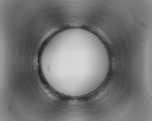 X0000111660634200907311138