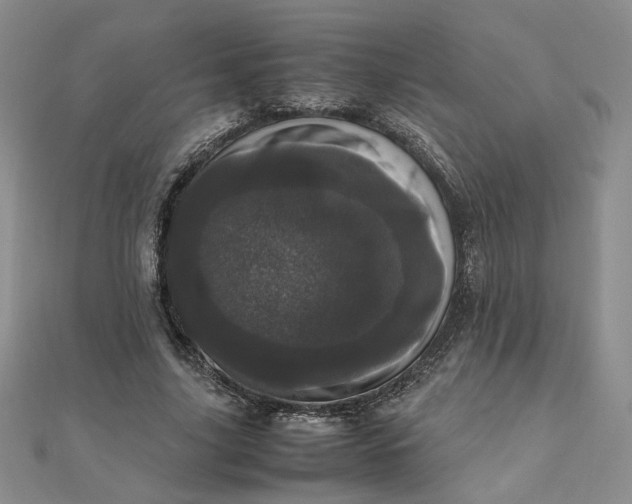 X0000111660635200907311138