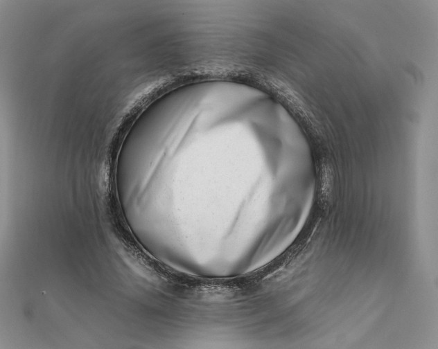 X0000111660636200907311138