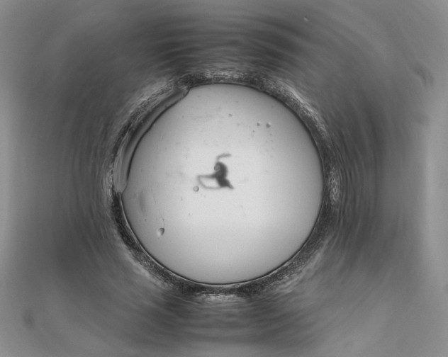 X0000111660637200907311138