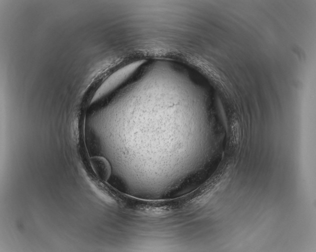 X0000111660638200907311138