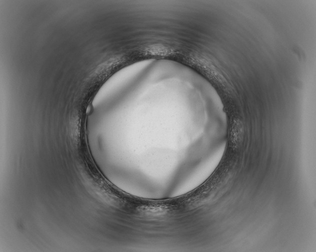 X0000111660639200907311139