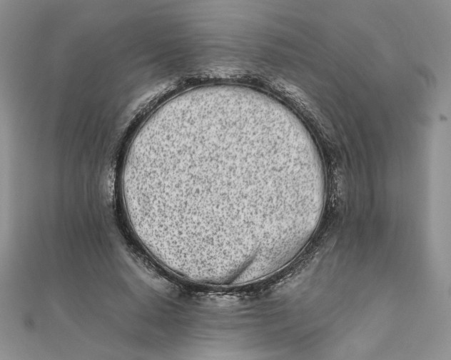 X0000111660640200907311139