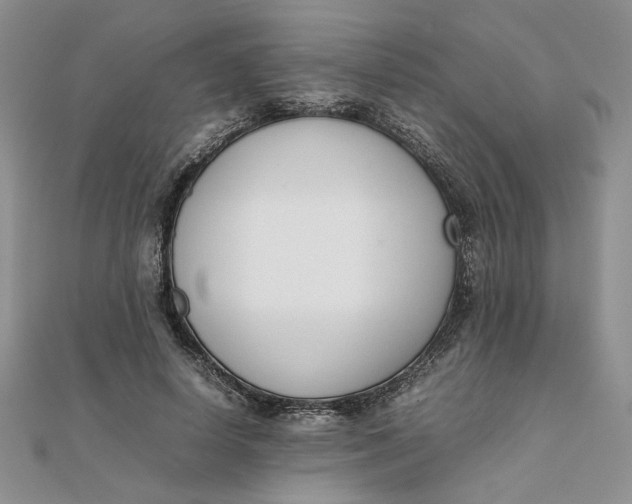 X0000111660642200907311139