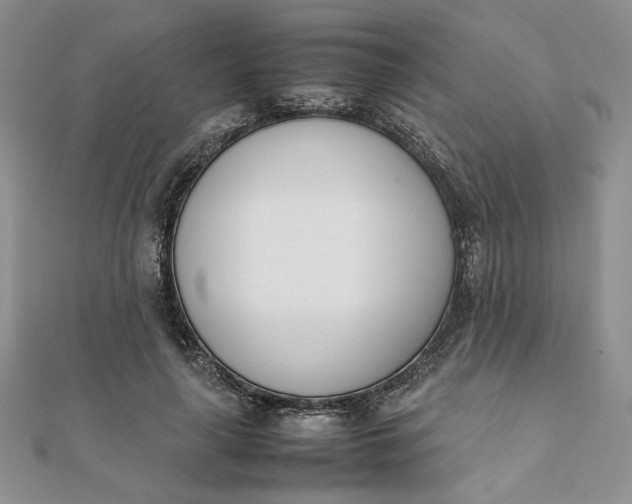 X0000111660643200907311139