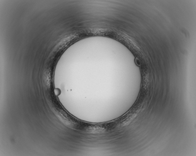 X0000111660644200907311139