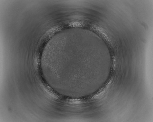 X0000111660645200907311139