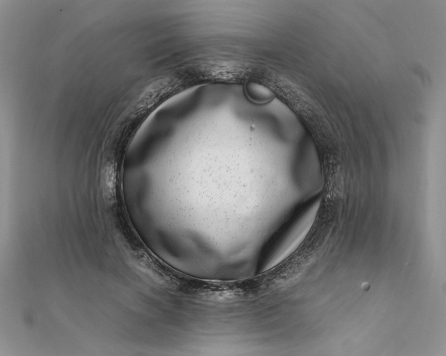 X0000111660646200907311139