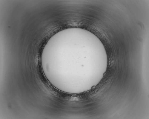 X0000111660647200907311139