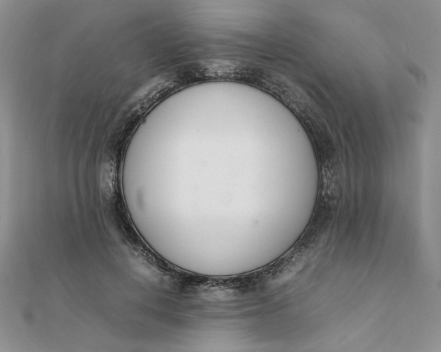 X0000111660648200907311139