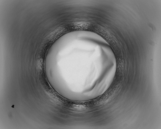 X0000111660649200907311139