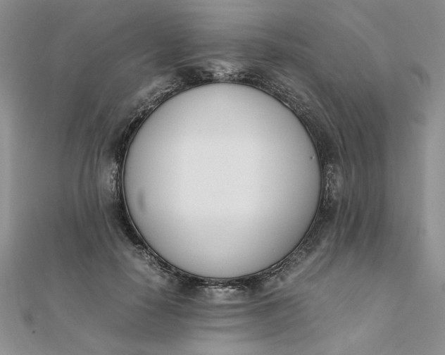 X0000111660650200907311139