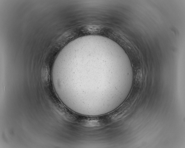 X0000111660651200907311139