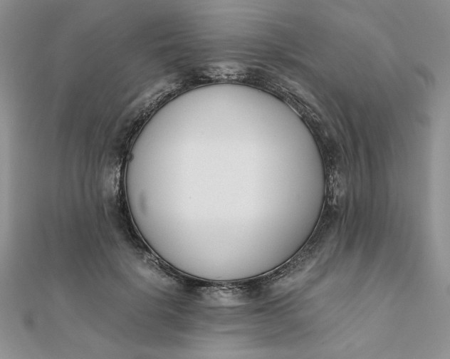 X0000111660652200907311139