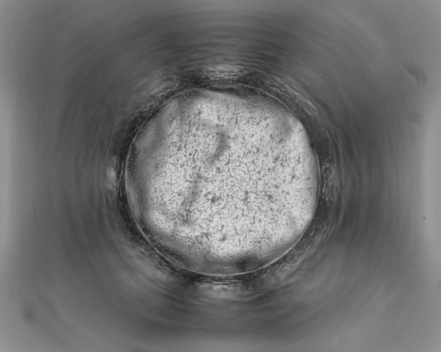 X0000111660655200907311139